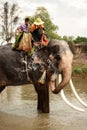 Elephant hapiness with water after Ordination parade on elephant